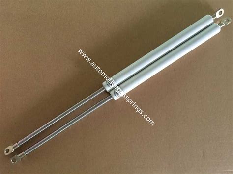 stainless steel gas struts